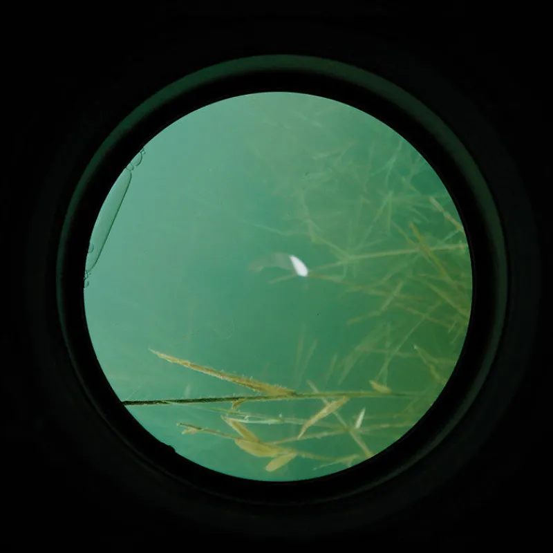 CARP SPIRIT Amorçage/Propulsion-Aquascope carpe water scan