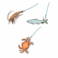 STONFO Acc. De Montage Feeder-Bagues à esches t0