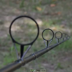 PROWESS Cannes-Canne à carpe Excelia RS 10' 3lb