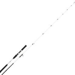 DAIWA Cannes-Canne bay jiggin saltist off shore  2.06m 60/150g