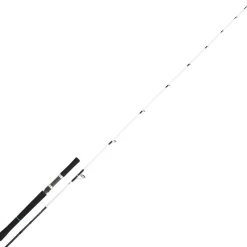 DAIWA Cannes-Canne bay Jigging saltist off shore 1.91m 60/150g