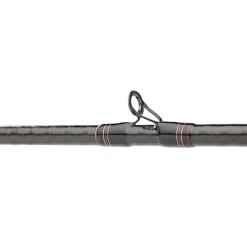 DAIWA Cannes-Canne Casting Powermesh 742hfs 14-42g, 2.26m