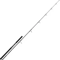 DAIWA Pêche Du Thon|Cannes-Canne Casting Saltiga 2.52m max 60g