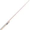 TENRYU Cannes-Canne casting Injection bc 80 xxh 2.40m, 80-200g
