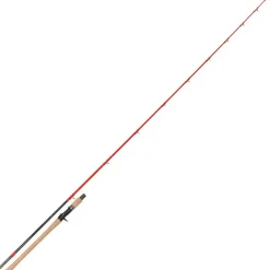 TENRYU Cannes-Canne casting Injection bc 80 xxh 2.40m, 80-200g