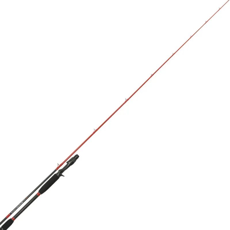 TENRYU Cannes-Canne casting injection bc 81 h 2,46m 20-80g