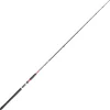 DAIWA Cannes-Canne megaforce big fish 3.60m