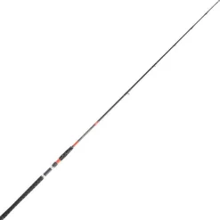 DAIWA Cannes-Canne megaforce big fish 3.60m