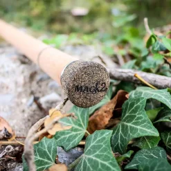 MACK2 Cannes-Canne Falcon LTD 12' 3.5 lbs