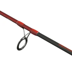 PENN Cannes-Canne Squadron III Spinning 300-600g