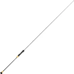 DAIWA Cannes-Canne slow jigging saltiga 1.85m 250/400g