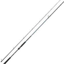 DAIWA Pêche Aux Leurres|Cannes-Canne Spinning Caldia Seabass 702XHFS 2m13 28-84g