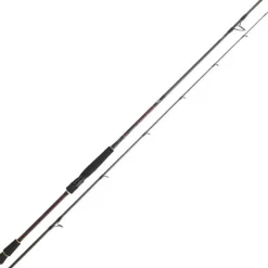 DAIWA Cannes-Canne Spinning Infeet Seabass 2.21m, 10-35g