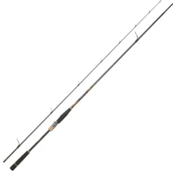 DAIWA Cannes-Canne Spinning Morethan Branzino Expert 2m44 14-42g
