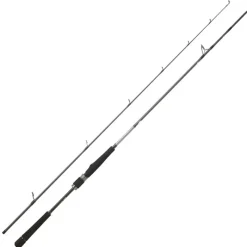 DAIWA Cannes-Canne Spinning Saltist Seabass 2m13 14-42g