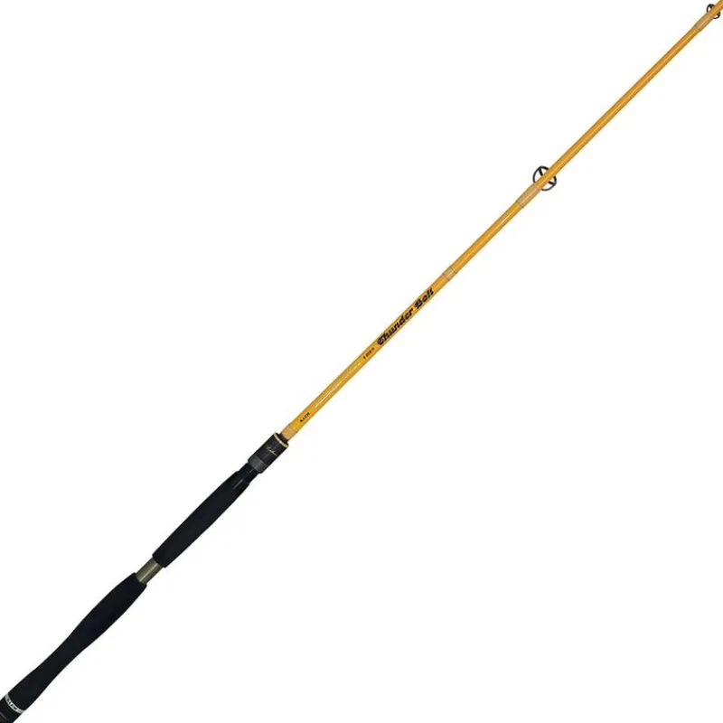 ILLEX Cannes-Canne Spinning Element Rider THUNDER BOLT 2.15m 15-60g