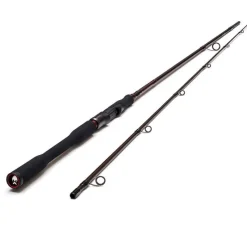 WESTIN Cannes-Canne Spinning W4 PowerLure 2ND XH 2.40m, 25-80g