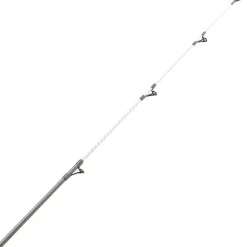 DAIWA Surfcasting|Cannes-Canne Surfcasting Shorecast Surf X 2024 4m20 100-200g