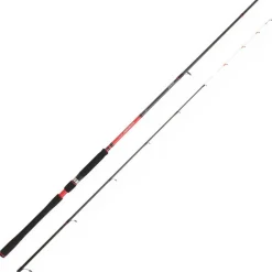 DAIWA Pêche Au Tenya|Cannes-Canne Tenya powermesh 242h 2.40m 20-70g