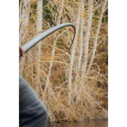 TEOS Cannes-Canne Majesty Carp 1150