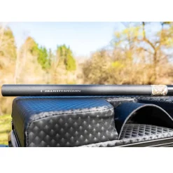 TEOS Cannes-Canne Majesty Specimen 1000