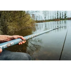 TEOS Cannes-Canne Majesty Specimen 1000