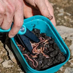 RIVE Appâts / Amorces-Ciseaux à vers