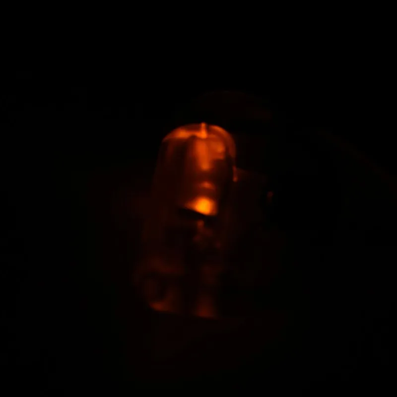 CARP SQUAD Détection-Coffret 3 Indicateurs Lumineux Swinger