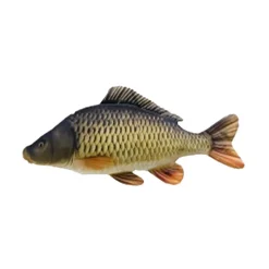 GABY Goodies Et Idées Cadeaux-Coussin Carpe Commune Mini 36cm