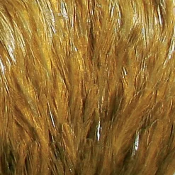 JMC Fly Tying-Fly fishing plumes cou indien top grade