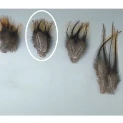 JMC Fly Tying-Fly tying plumes de pardo pelle de cape grade 1