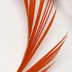 JMC Fly Tying-Fly tying plumes goose biot