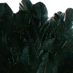 JMC Fly Tying-Fly tying plumes cou de poule