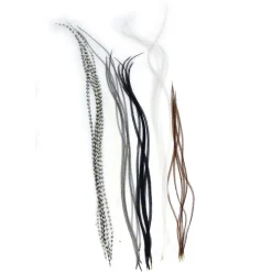 JMC Fly Tying-Fly tying plumes lancettes top grade (6 plumes)