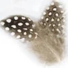 JMC Fly Tying-Fly tying plumes pintade naturelle