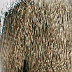 JMC Fly Tying-Fly tying poils de cerf