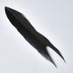 JMC Fly Tying-Fly tying queue de faisan