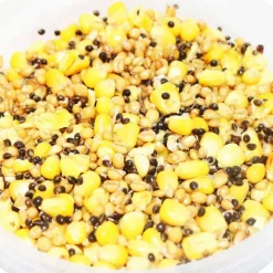 MACK2 Découverte Pêche À La Carpe|Appâts Et Fabrication-Graine cuite carpe ready made combi mix 2.3l