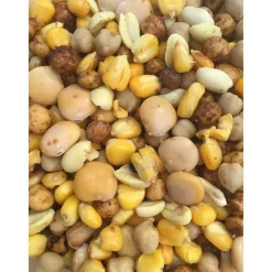 MACK2 Découverte Pêche À La Carpe|Appâts Et Fabrication-Graine cuite carpe ready made active mix 2.3l