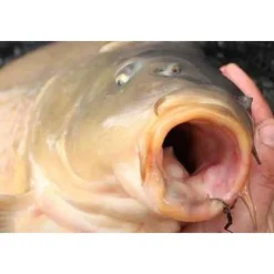 KORDA Acc.Montages/Hameçons-Hameçon carpe mixa (x10)