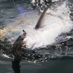 TACKLE HOUSE Pêche Du Thon|Leurres-Leurre de surface popper feed popper 150 15cm 60g