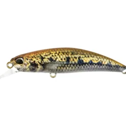 DUO Leurres À Truite|Leurres-Leurre Dur Jerkbait Ryuki 60S Spearhead 6cm, 5g