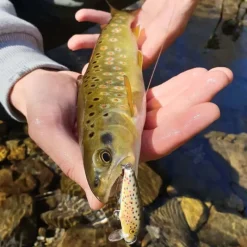 RAPALA Leurres À Truite|Leurres-Leurre Dur Jerkbait Countdown 03 3cm 4g