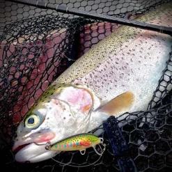 RAPALA Leurres À Truite|Leurres-Leurre Dur Jerkbait Countdown 03 3cm 4g