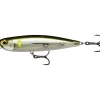 RAPALA Leurres-Leurre Dur Stickbait Precision Xtreme Pencil 8.7cm, 12g