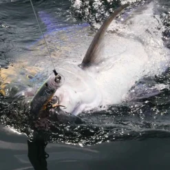 TACKLE HOUSE Pêche Du Thon|Pêche Aux Leurres-Leurre popper feed popper 135 13.5cm 45g