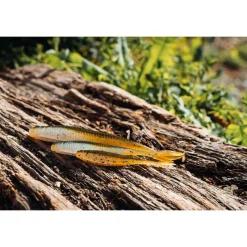 EVOK Leurres-Leurre Souple Finess Versatil Minnow 3.5