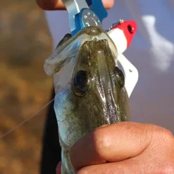 DELALANDE Leurres-Leurre Souple Grub Sandra Monté 9cm, 7g (x2)