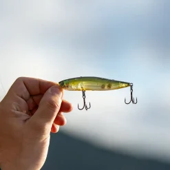 EVOK Leurres-Leurre Stickbait Hypnostick 11.5cm, 22g