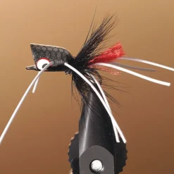 JMC Mouches-Mouche popper bass 22 t8